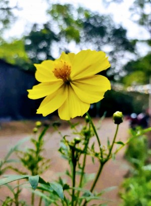 IMG_157138290703566853