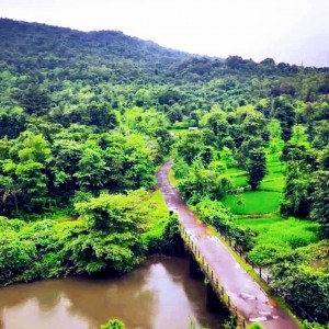 IMG_15715733999098216 4096