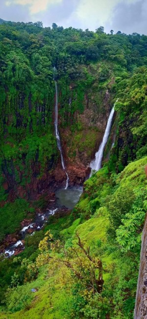 IMG_67395795_23469540