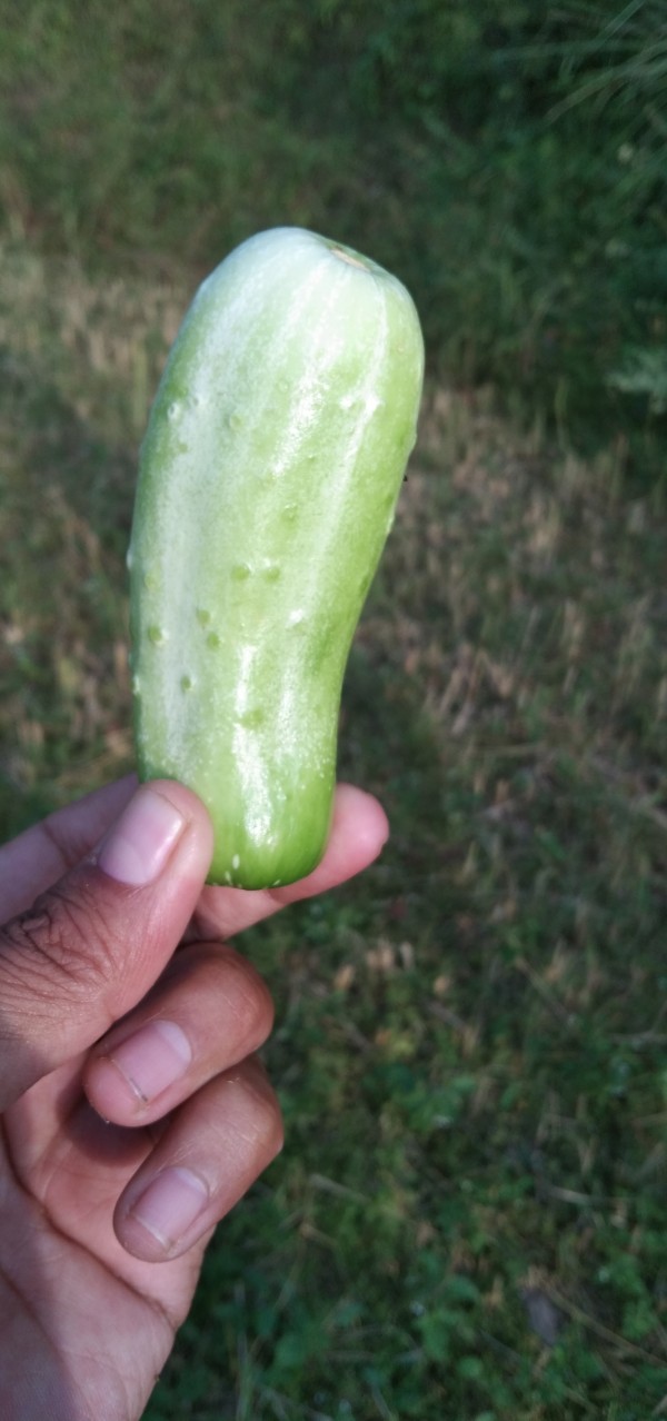 IMG_20200918_165303 Print