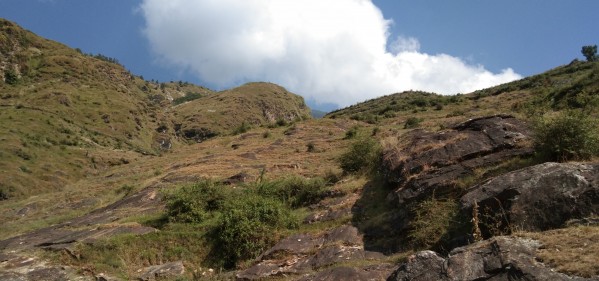 IMG_20201004_100042 Print