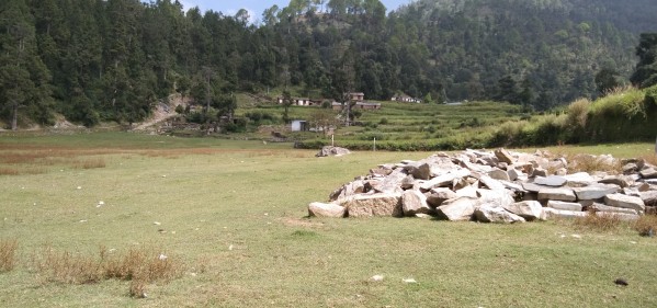 IMG_20200912_104527 Print