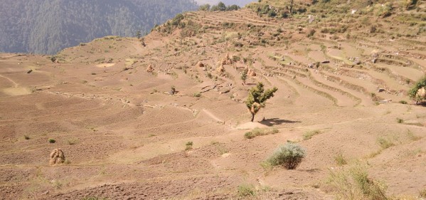 IMG_20201004_102038 Print