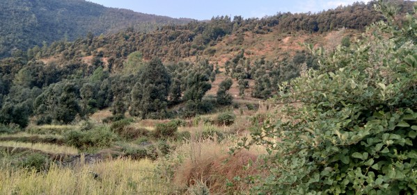 IMG_20201007_173605 Print