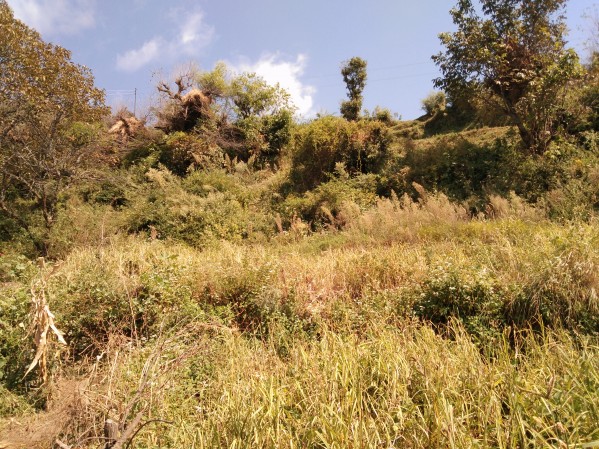 IMG_20201008_113828 Print