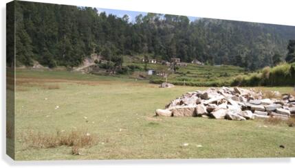 IMG_20200912_104527 Canvas Print