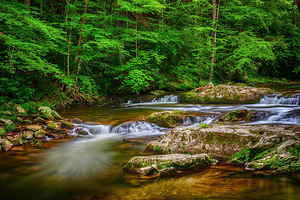 Springtime Mountain Stream Time Exposure