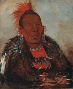 Wah-ro-née-sah The Surrounder Chief of the Tribe