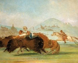 Batiste And I Running Buffalo Mouth of The Yellowstone 1832-1833