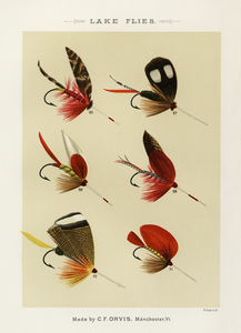 Lake Flies 