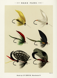 Bass Flies 