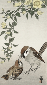 Great tit on paulownia branch 1925 - 1936 by Ohara Koson 1877-1945.