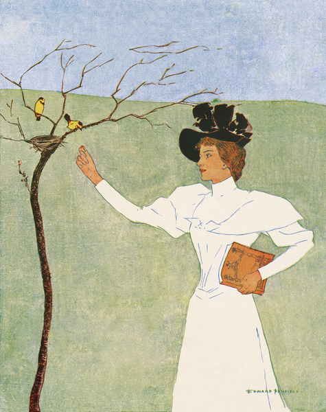 Woman reaching for birds 1894 by Edward Penfield by IStockHistory com