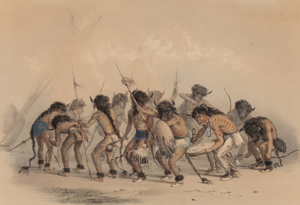Buffalo Dance Print