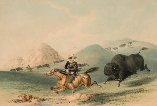 Buffalo Hunt Chasing Back 1844 Print