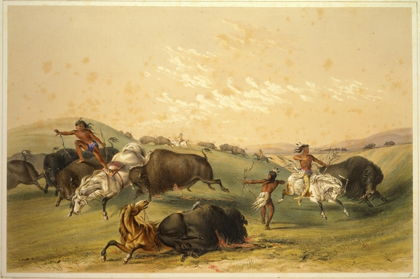 Buffalo Hunt A Numerous Group 1844 by IStockHistory com