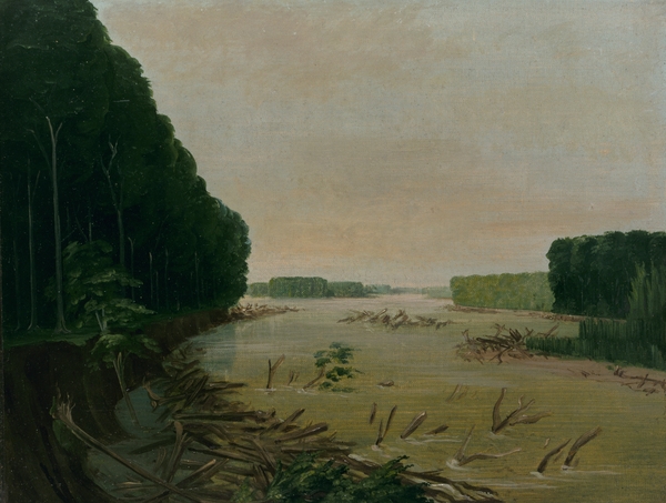 View On The Missouri Alluvial Banks Falling In 600 Miles Above St. Louis 1832 by IStockHistory com