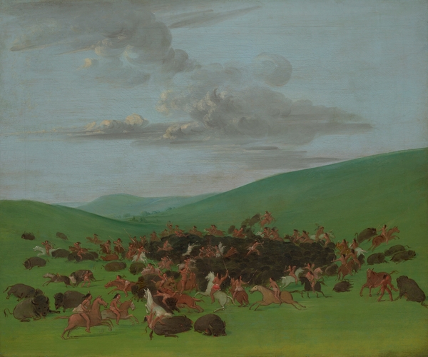 Buffalo Chase A Surround by the Hidatsa circa 1832 by IStockHistory com