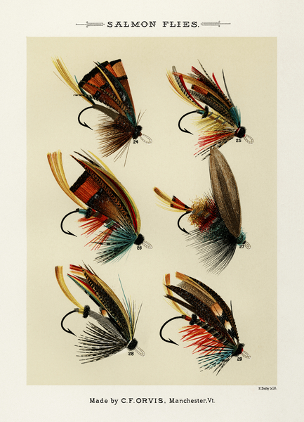 Salmon Flies  Print