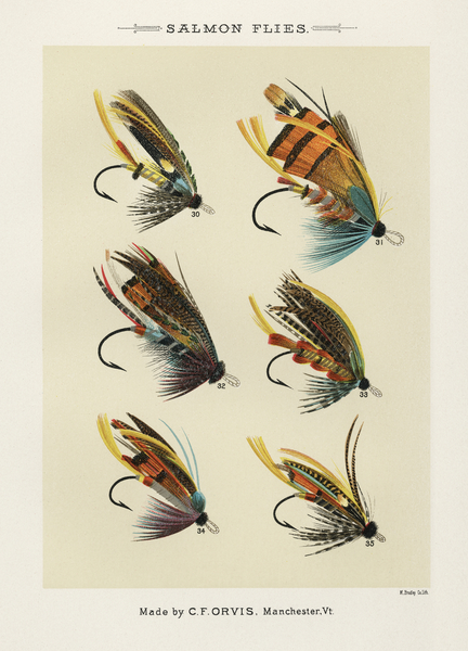 Vintage salmon flies poster by IStockHistory com