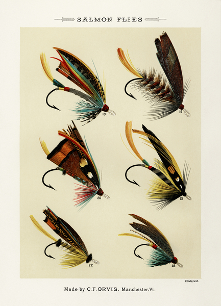 Salmon Flies Print