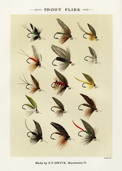 Trout Flies  Print