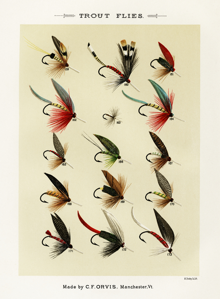 Trout Flies  Print