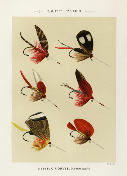 Lake Flies  Print