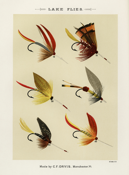 Lake Flies  Print