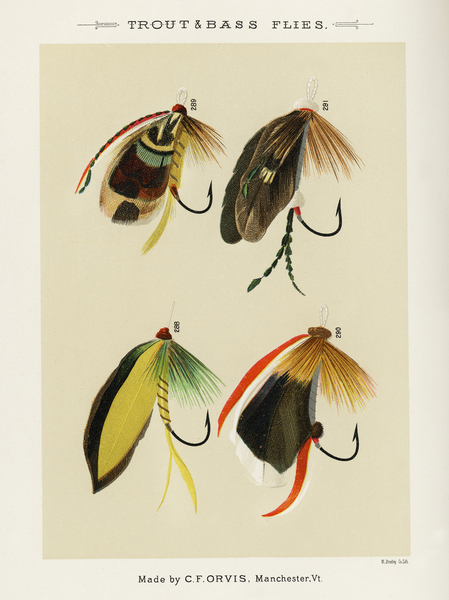 Trout & Bass Flies  by IStockHistory com