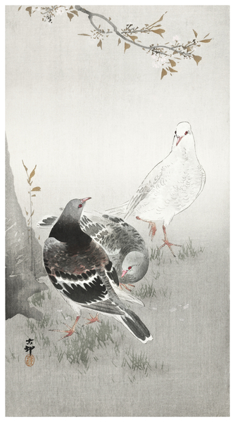 Three pigeons 1900-1930 by Ohara Koson 1877-1945. by IStockHistory com