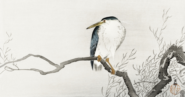 Quack on erratic branch 1900 - 1910 by Ohara Koson 1877-1945. by IStockHistory com