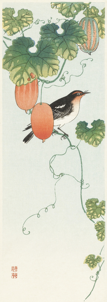 Songbird in cucumber plant 1925 - 1936 by Ohara Koson 1877-1945. by IStockHistory com