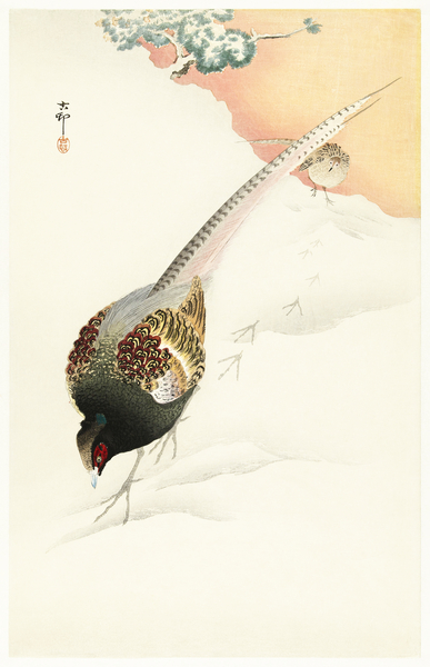 Pheasant couple in the snow 1900 - 1945 by Ohara Koson 1877-1945. by IStockHistory com