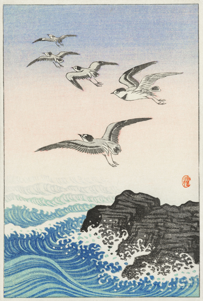 Five seagulls above the sea 1900 - 1945 by Ohara Koson 1877-1945. by IStockHistory com