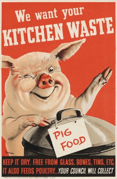 We Want Your Kitchen Waste by IStockHistory com