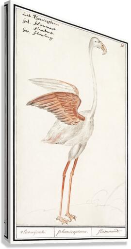 Flamingo in vintage style Canvas Print