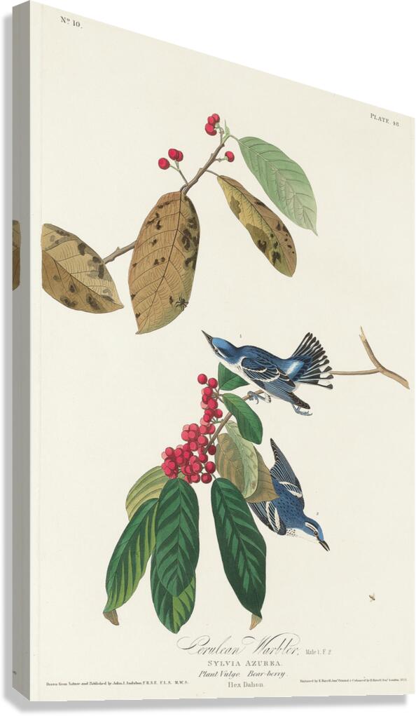 Fish Crow Impression sur toile