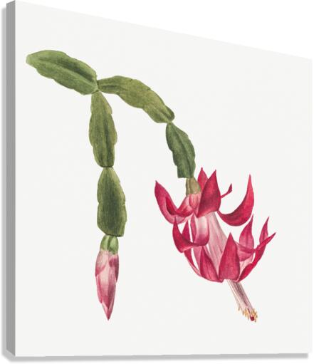 Flower Study 1878 Impression sur toile