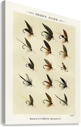 Trout Flies  Canvas Print
