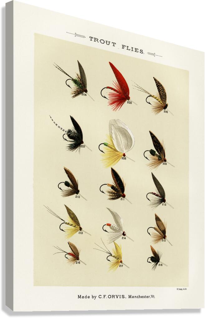 Trout Flies  Canvas Print