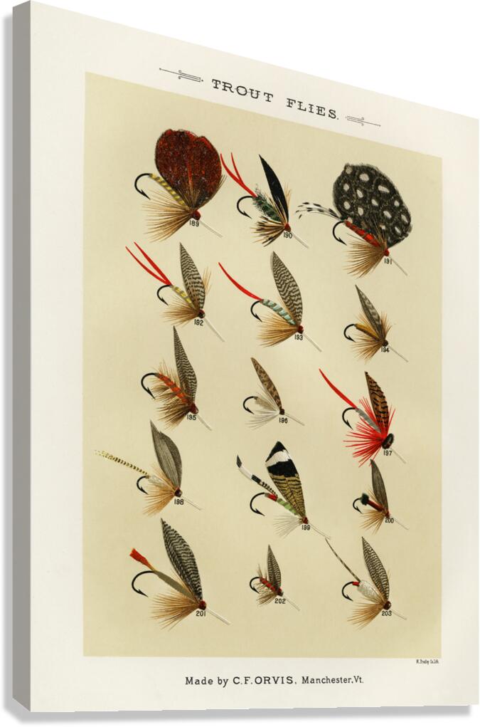 Trout Flies  Canvas Print