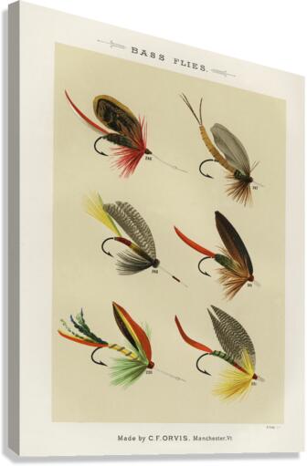 Bass Flies  Canvas Print