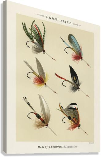 Lake Flies Canvas Print