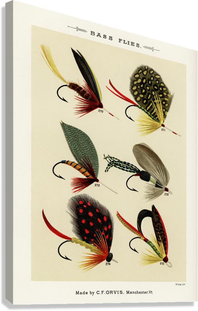 Bass Flies  Canvas Print