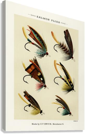 Salmon Flies Canvas Print