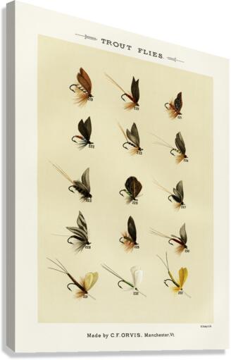 Trout Flies  Canvas Print