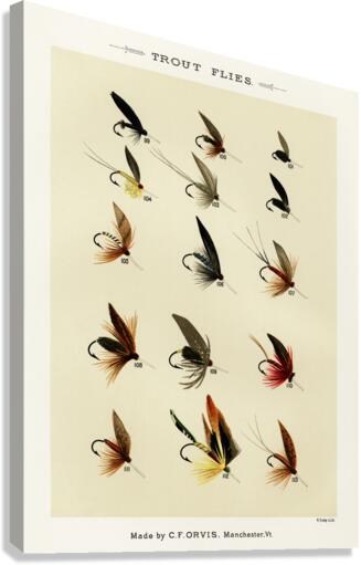 Trout Flies  Canvas Print