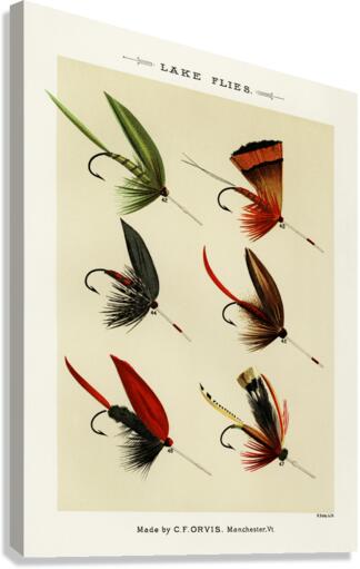 Lake Flies  Canvas Print