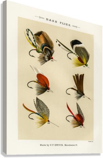 Bass Flies  Canvas Print